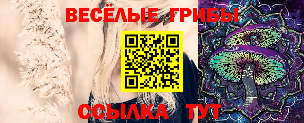 Галлюциногенные грибы MAGIC MUSHROOMS  Вход с VPN  Галлюциногенные грибы Psilocybe  Благовещенск 